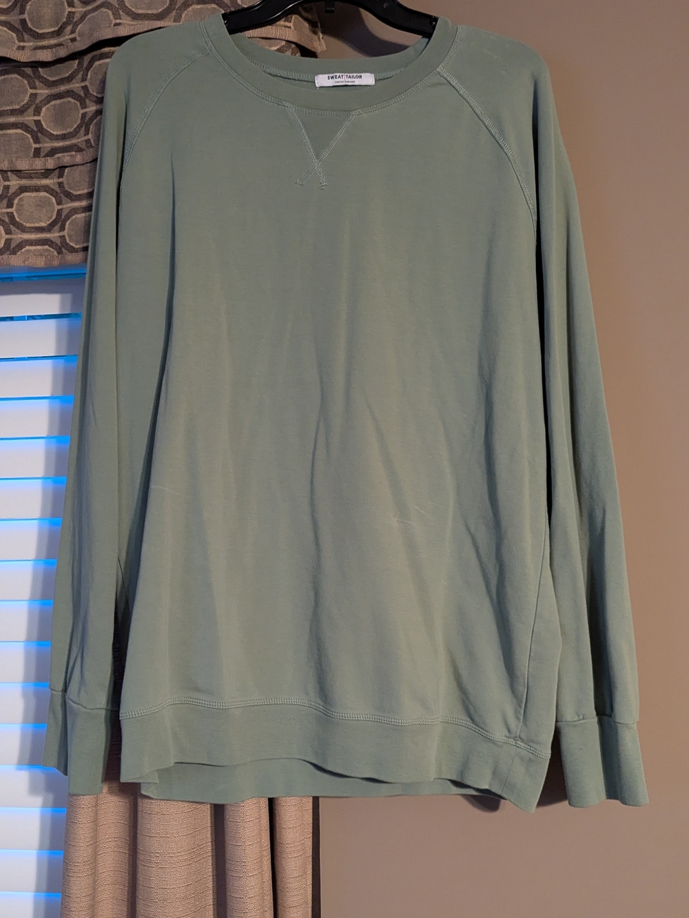 Everlane Crewneck Sweater in Sage Green